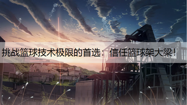 <strong>挑战篮球技术极限的首选：信任篮球架大梁！</strong>