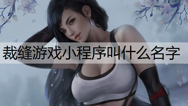 裁缝游戏小程序叫什么名字